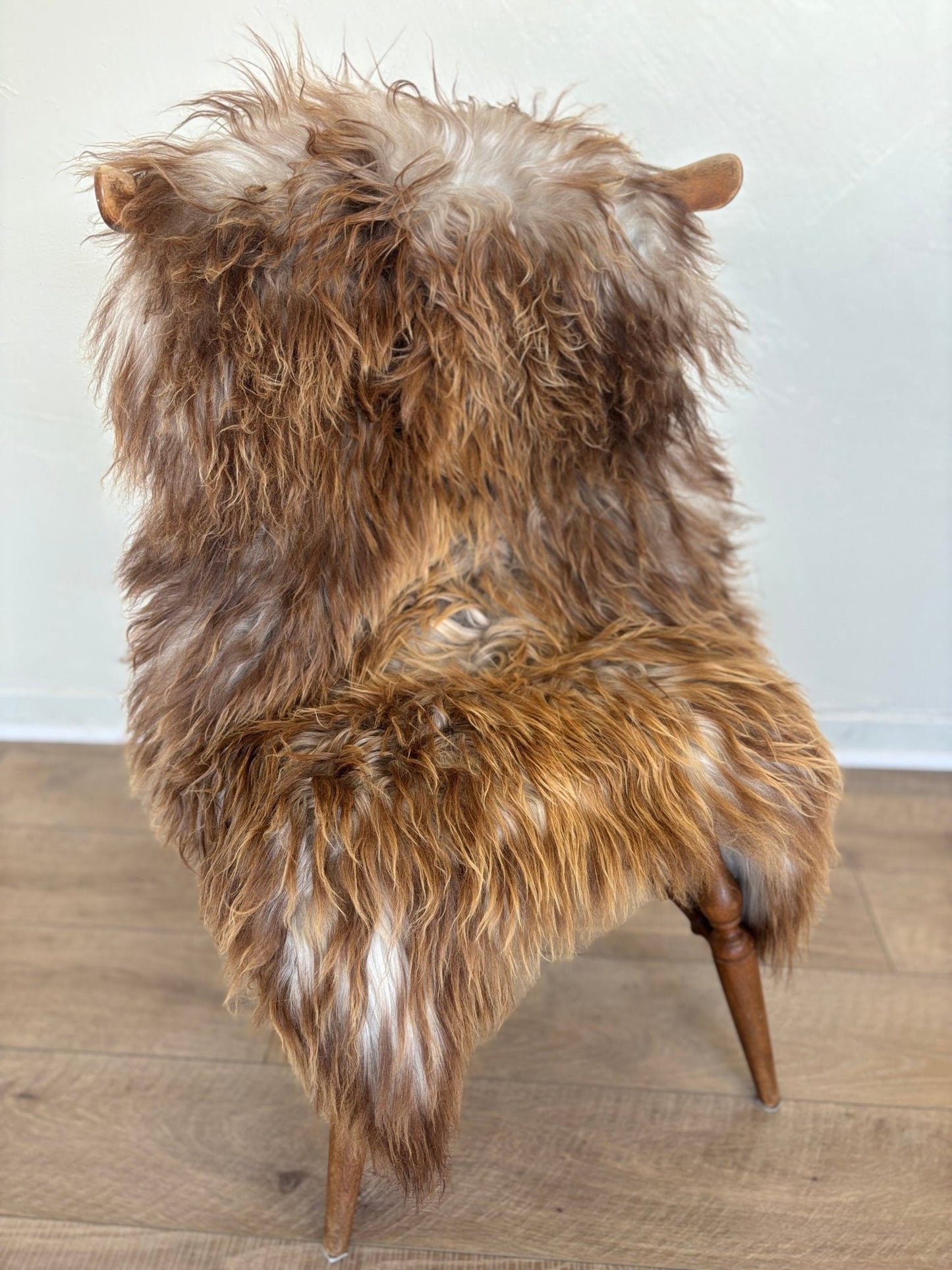 Icelandic Rusty Grey