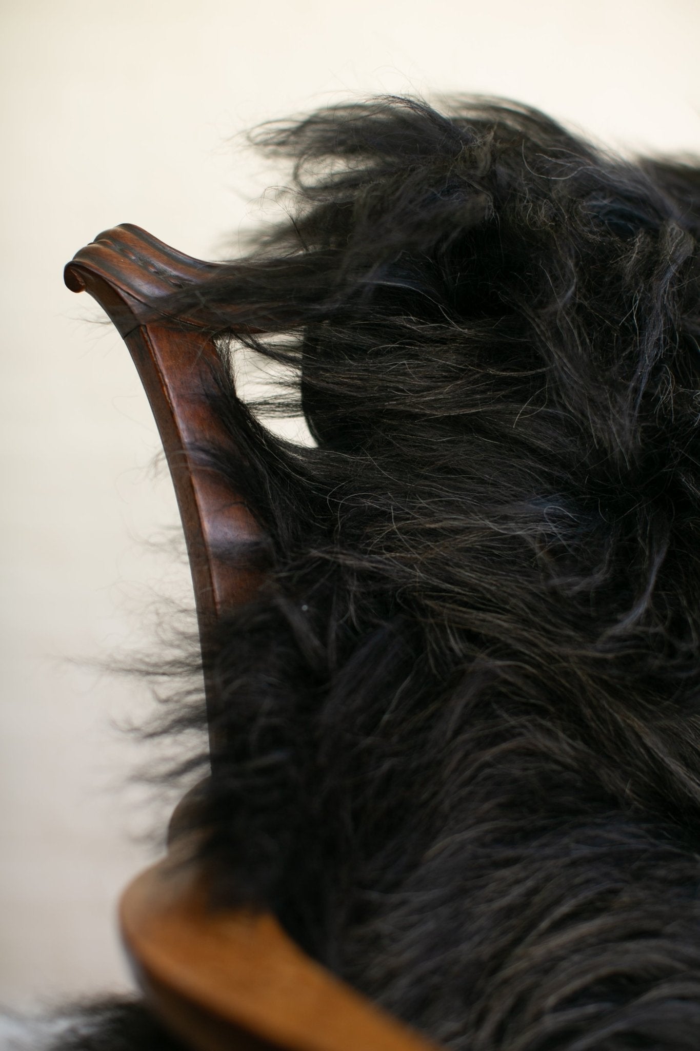 Icelandic Kolur