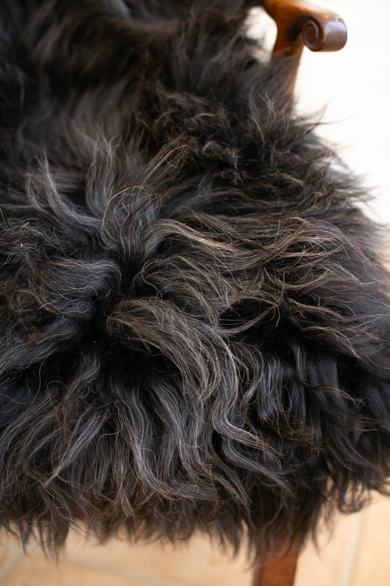 Icelandic Kolur