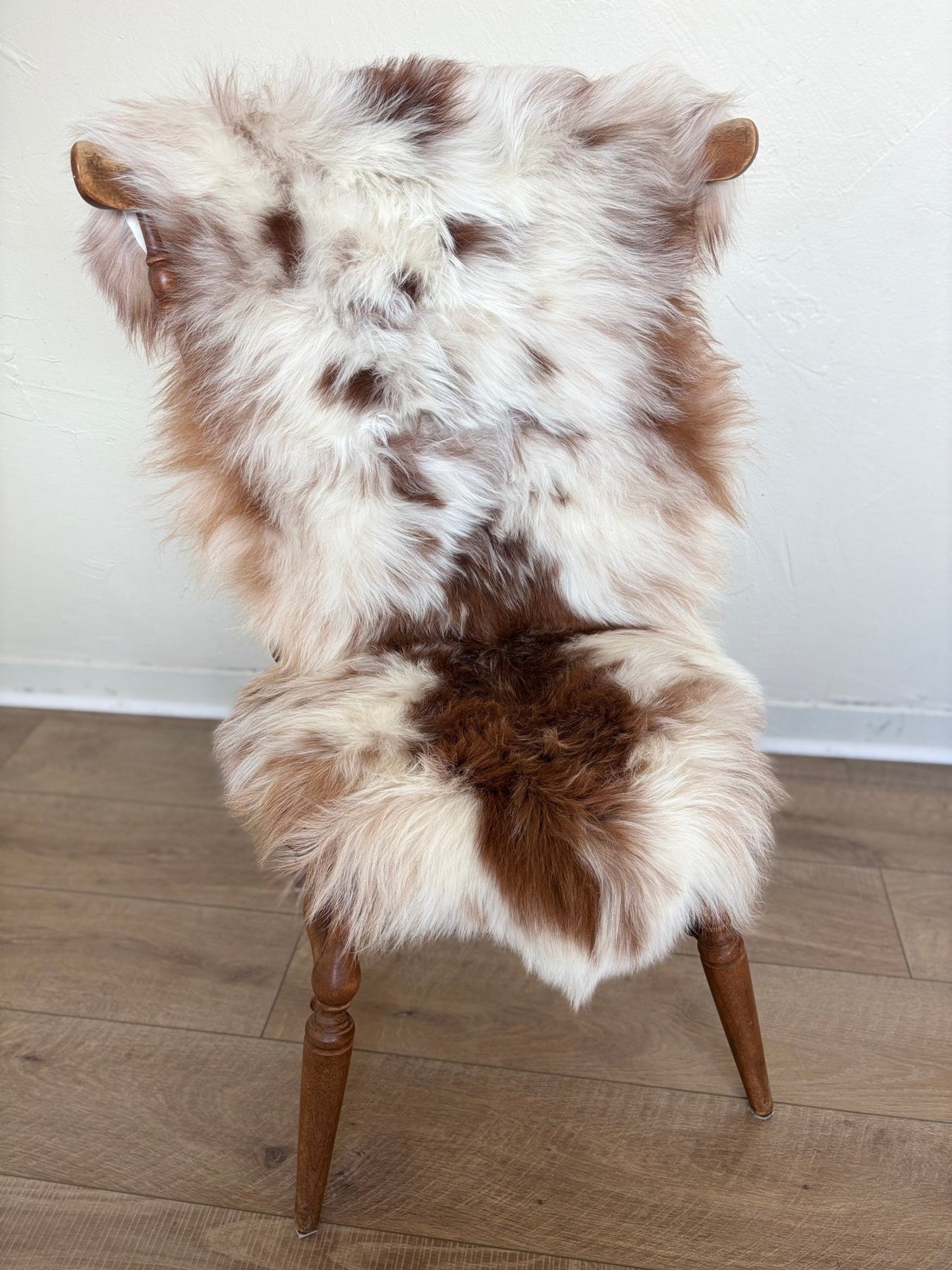 Himalayan Ivory & Rusty Brown