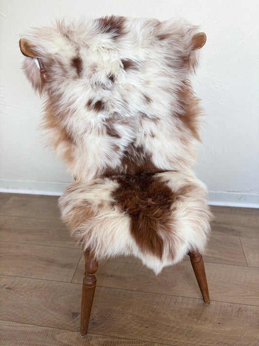 Himalayan Ivory & Rusty Brown