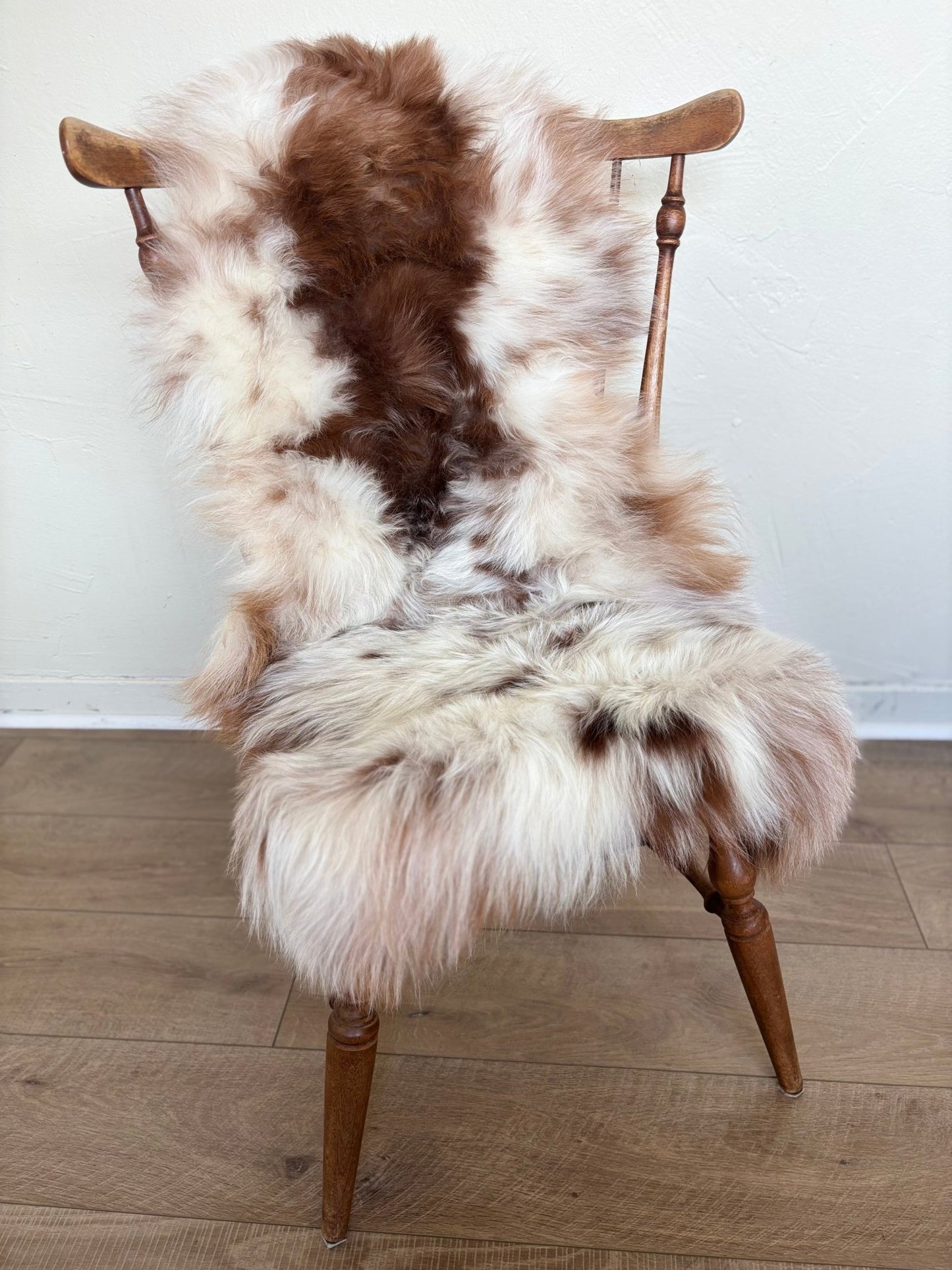 Himalayan Ivory & Rusty Brown