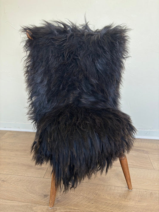 Icelandic Black & Brown