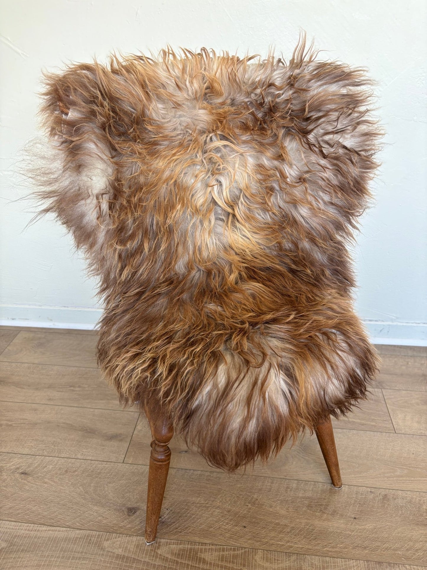 Icelandic Rusty Grey