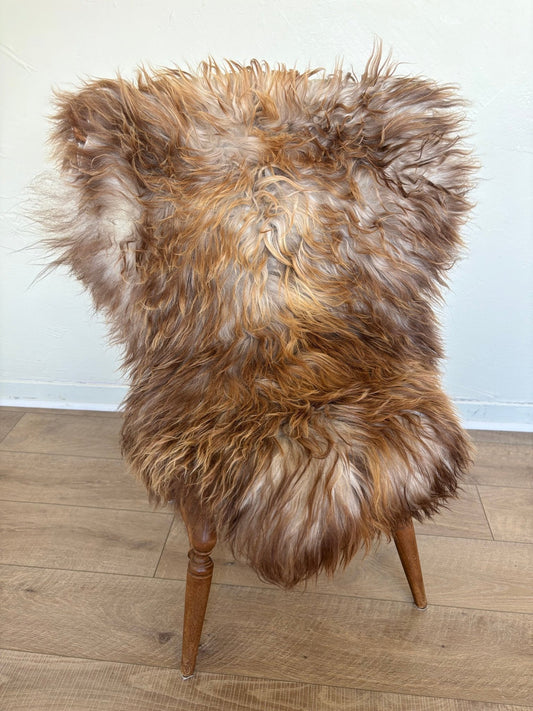 Icelandic Rusty Grey