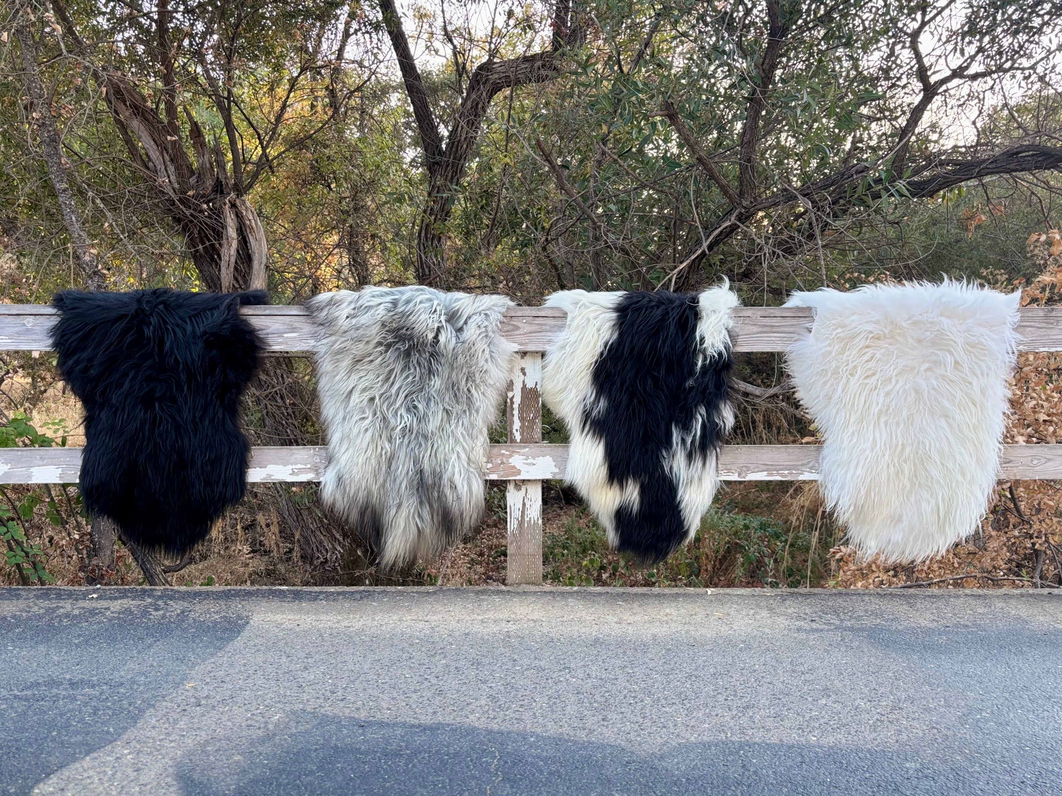 Four Luxury Organic Sheepskin Rug – Ethically Sourced from the UK