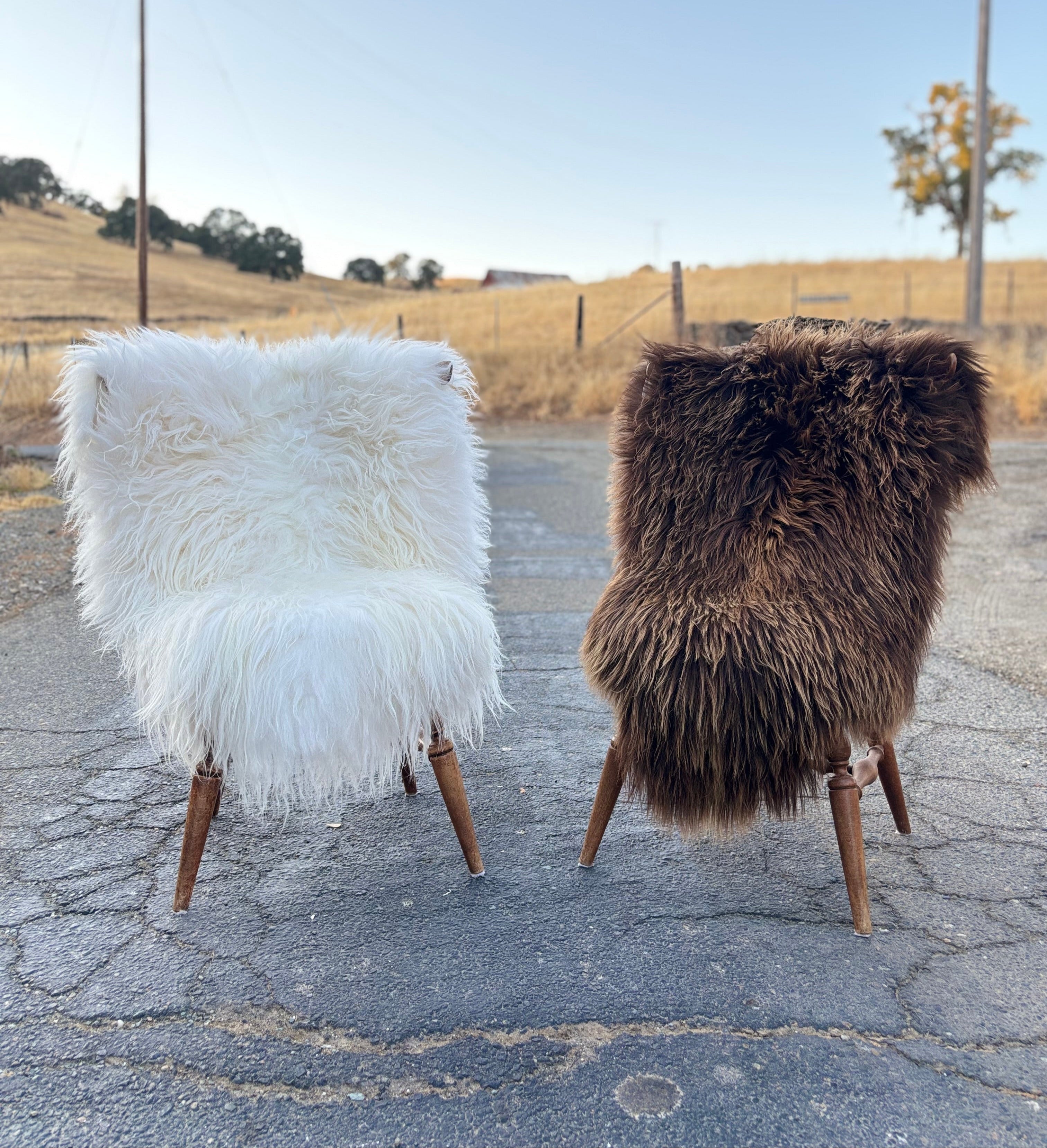 Two chairs with sheepskin rugs on a road with a rural landscape in the background.